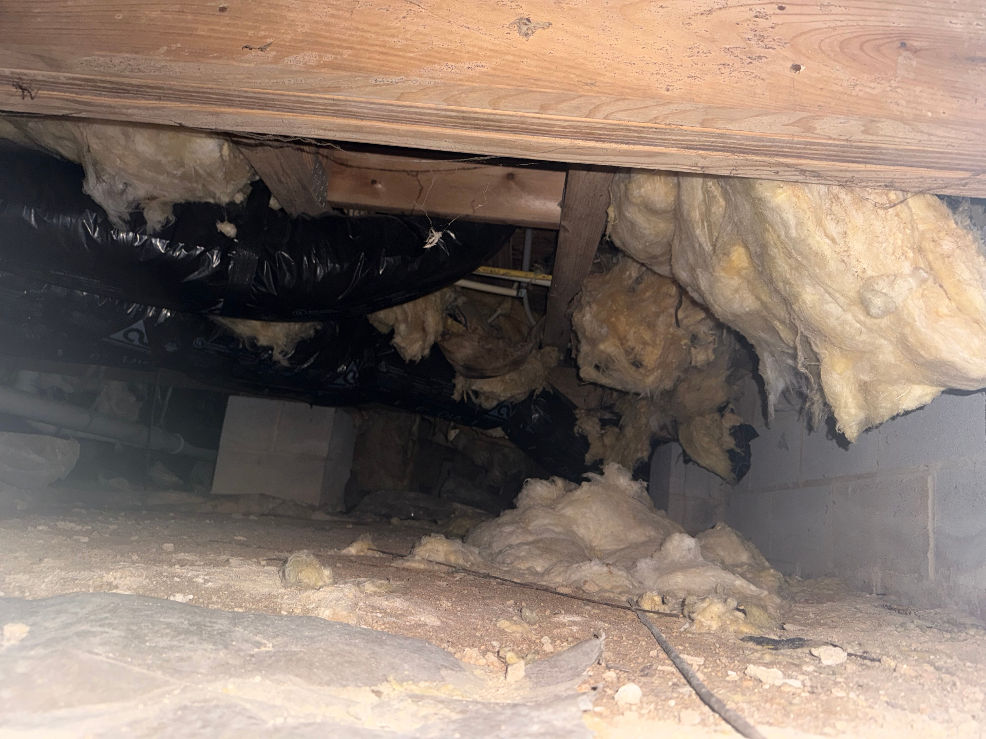 Damaged crawl space with torn insulation and moisture damage in Triangle area