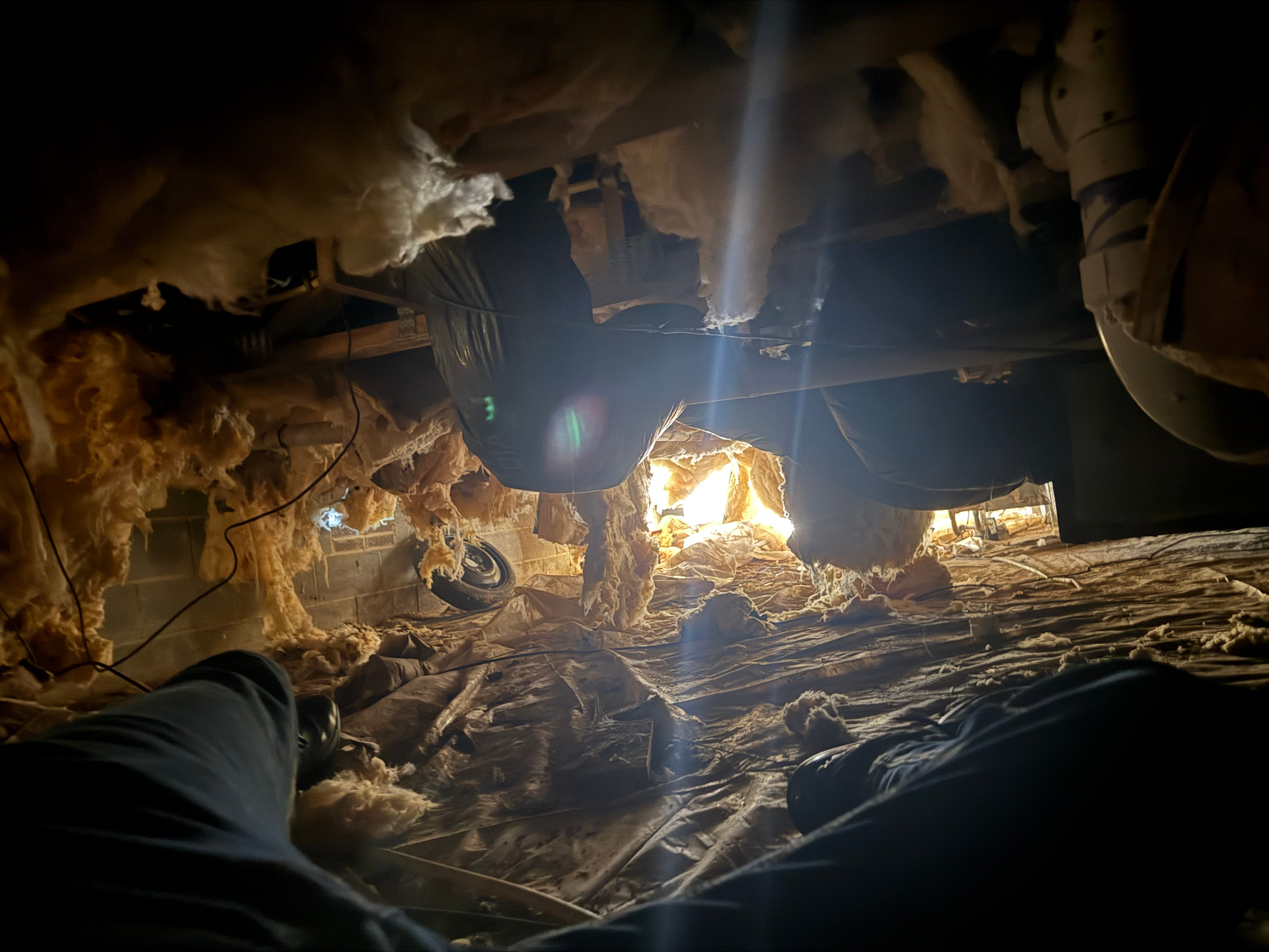 Dark moldy crawl space before remediation in Durham NC